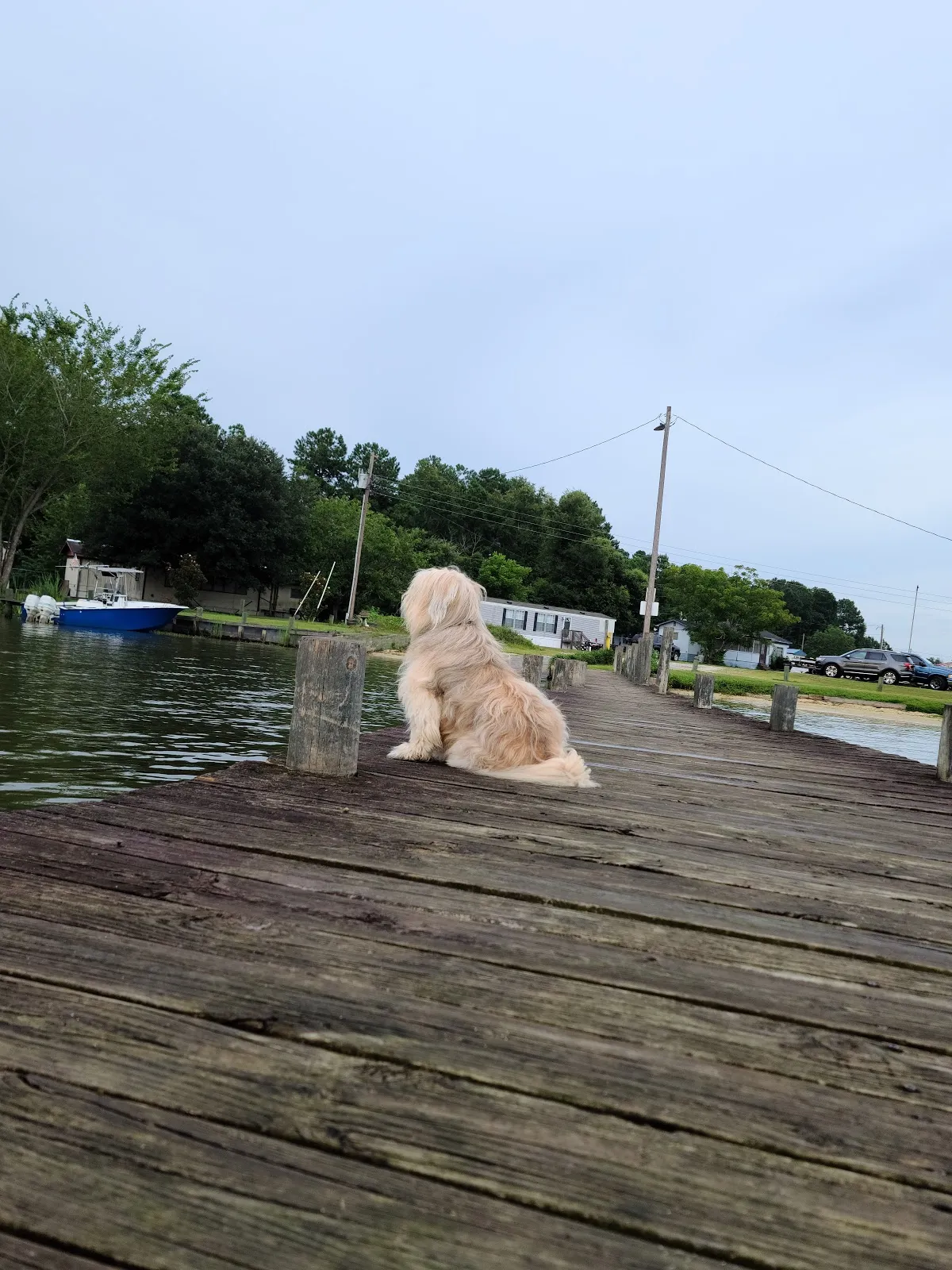 Mac's Camp Landing
