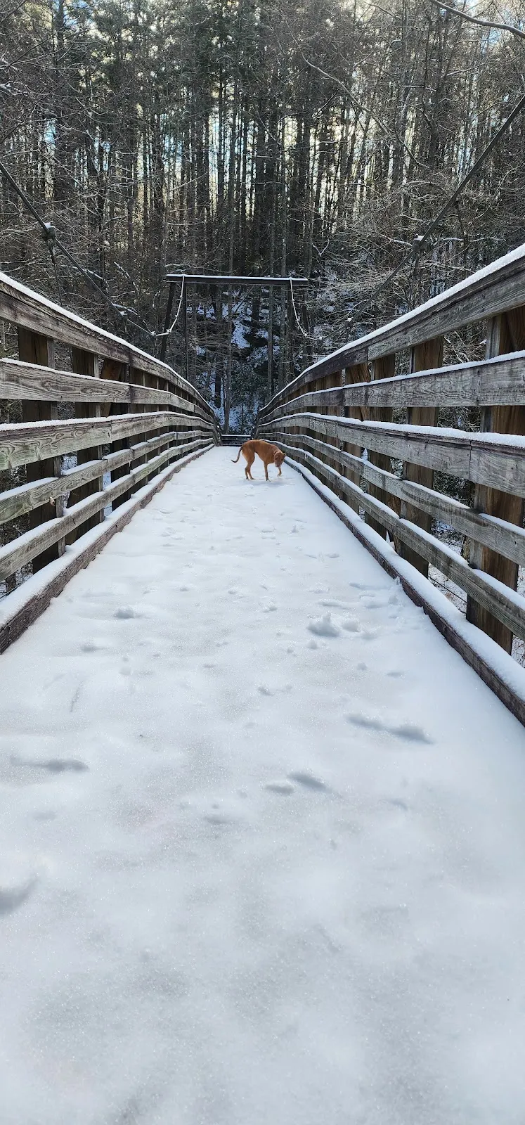 Tallulah Falls Rail-Trail Bridge