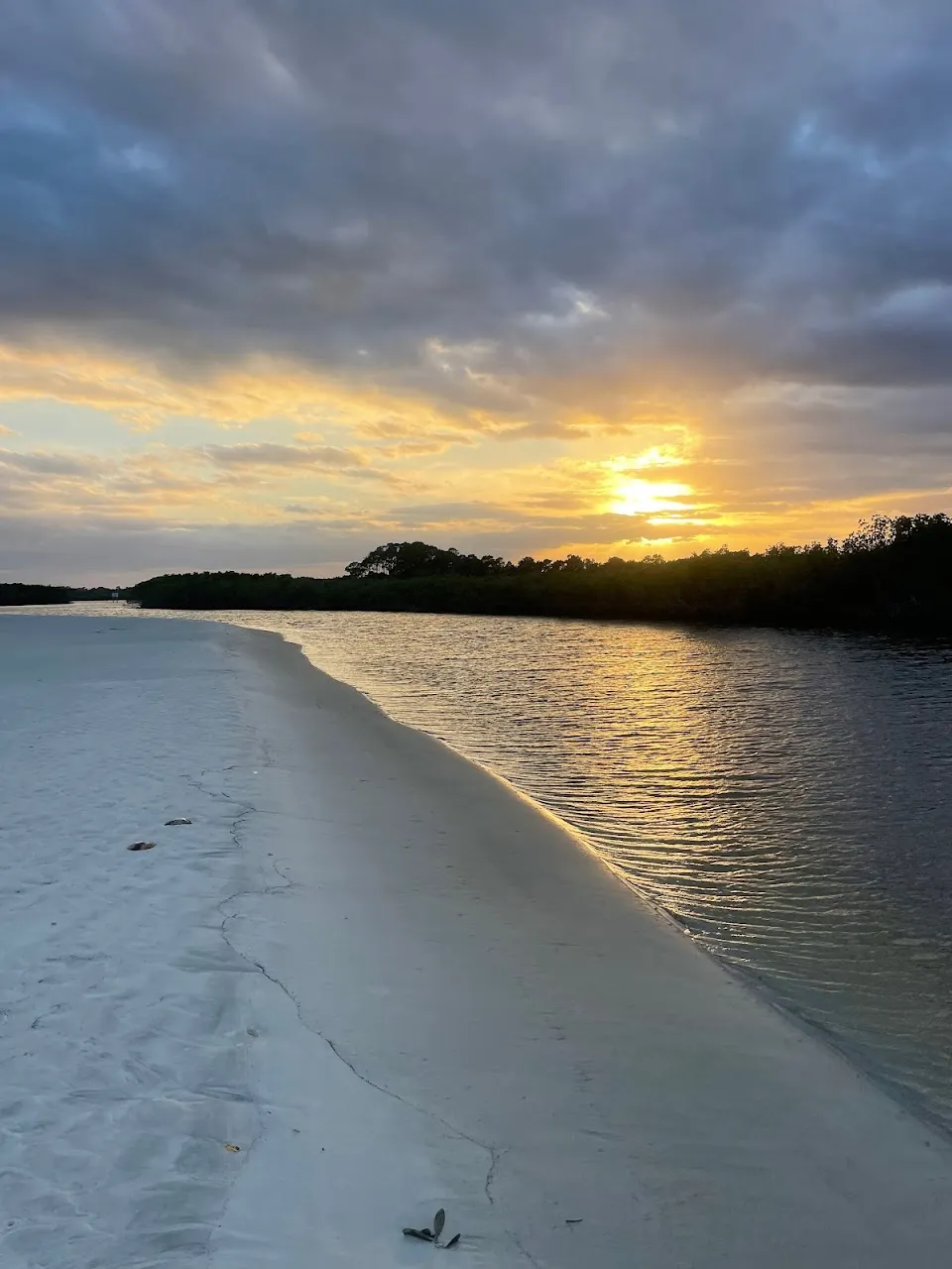 Inlet Shores Tiki Tours