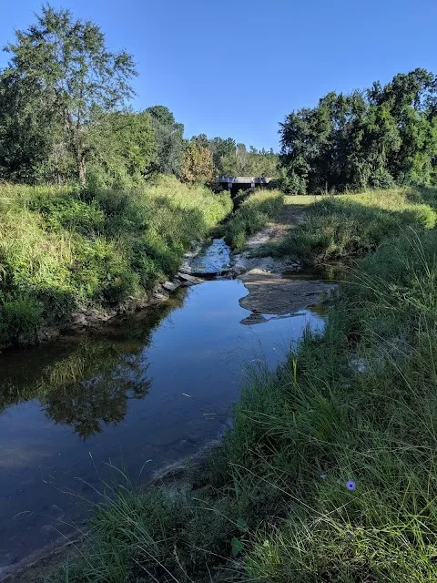Sawmill Branch Trail - E. Richardson Ave. Trailhead