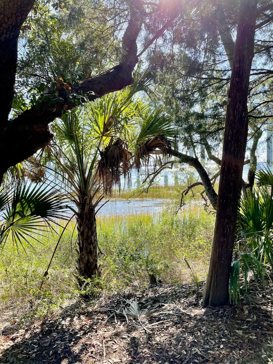 Daniel Island Recreation Center