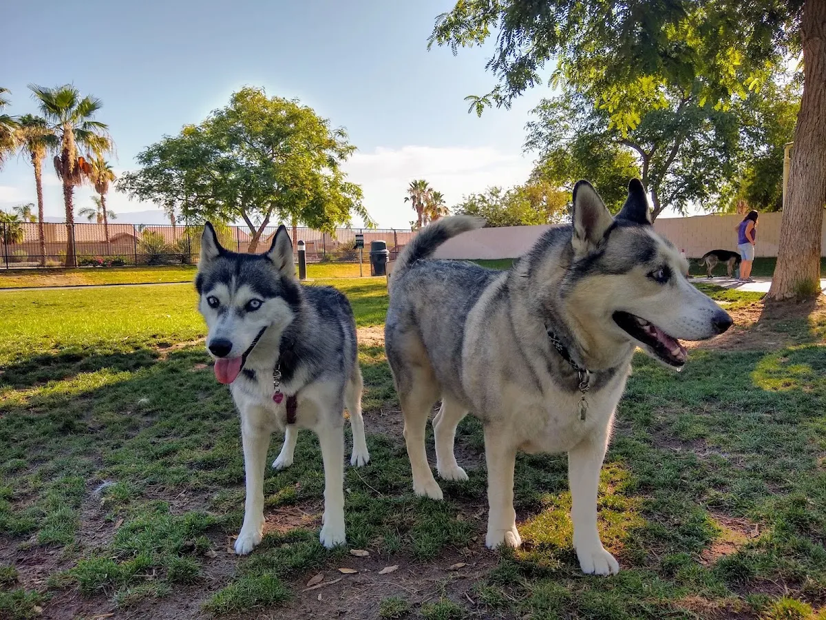 Pioneer Dog Park