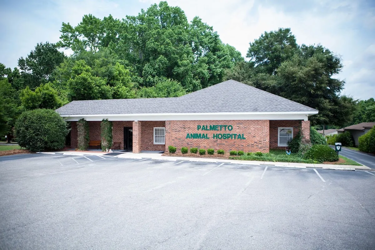 Palmetto Animal Hospital