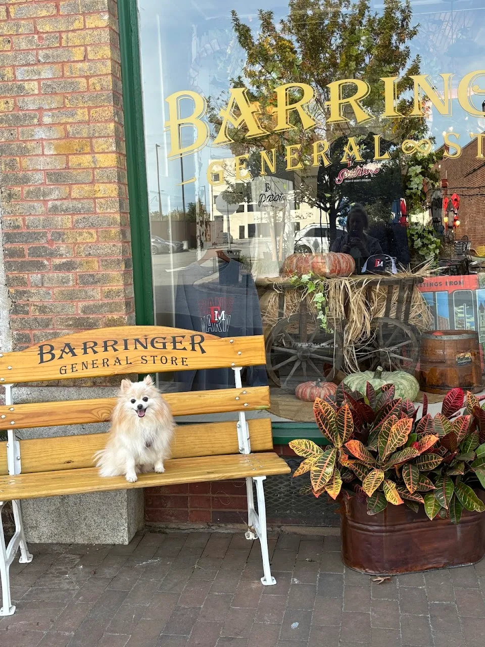 Barringer General Store
