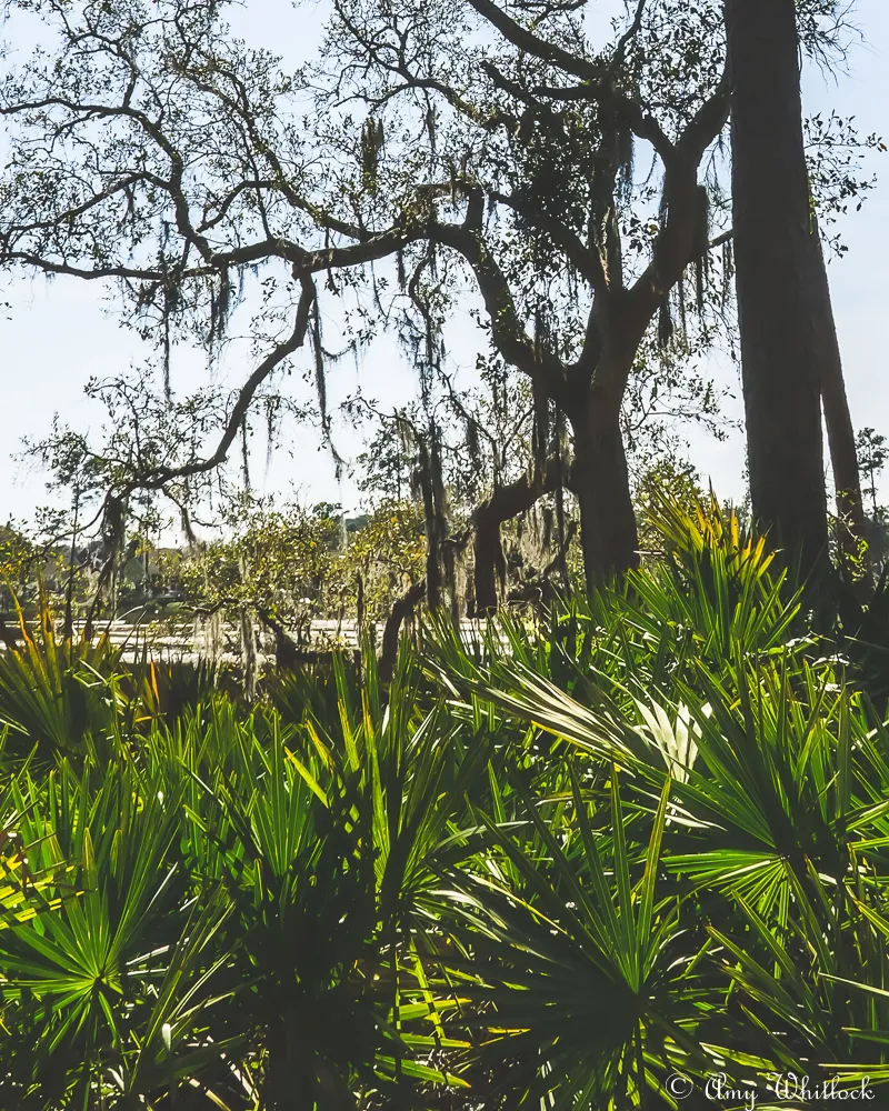Skidaway Island State Park