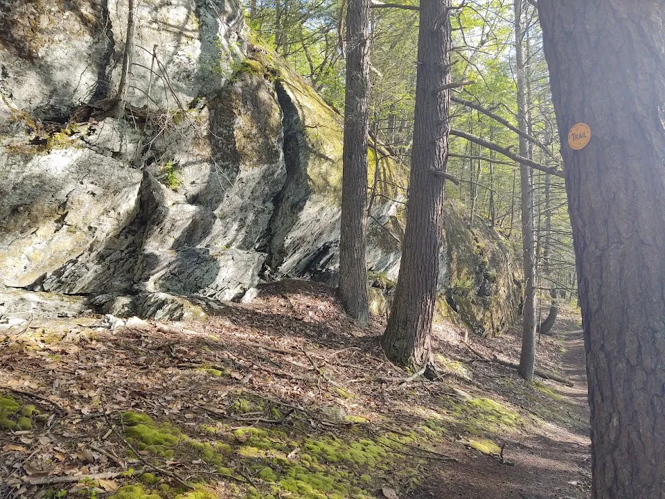 Lenape Ridge