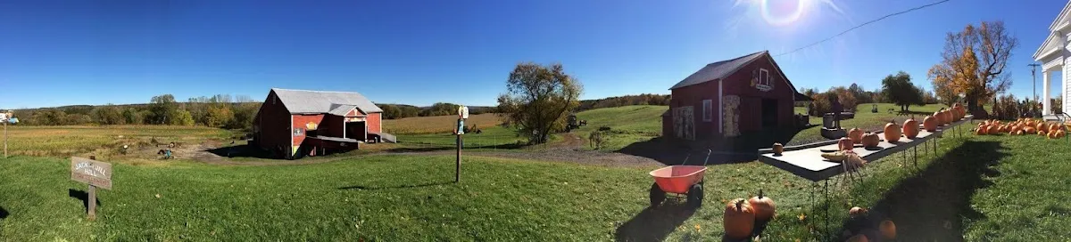 Pick a Pumpkin Pumpkin Patch