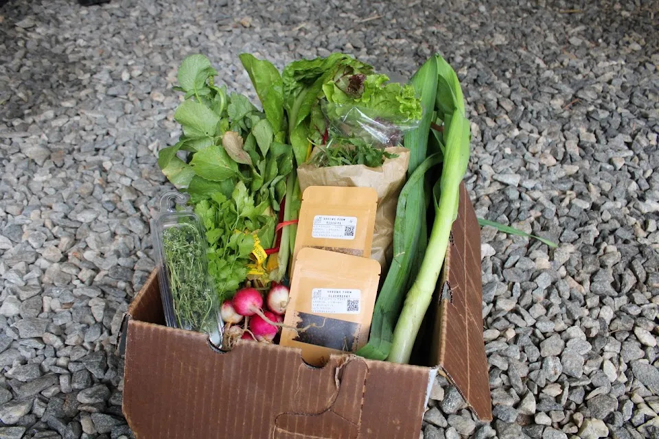 Arrows Farm