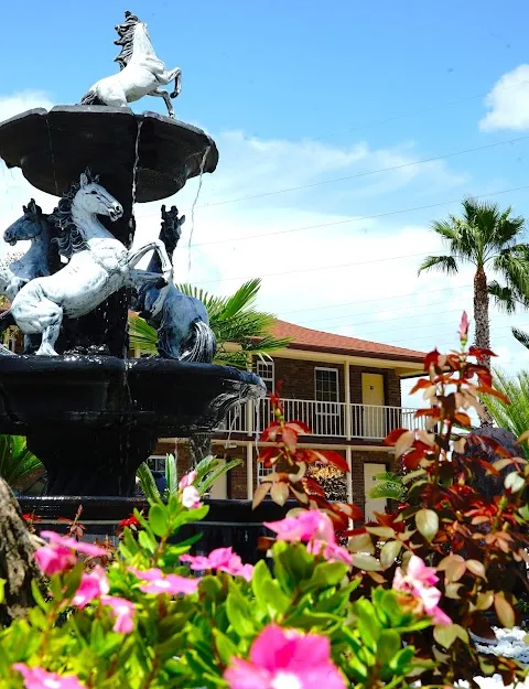 Savannah Inn and Suites Extended Stay