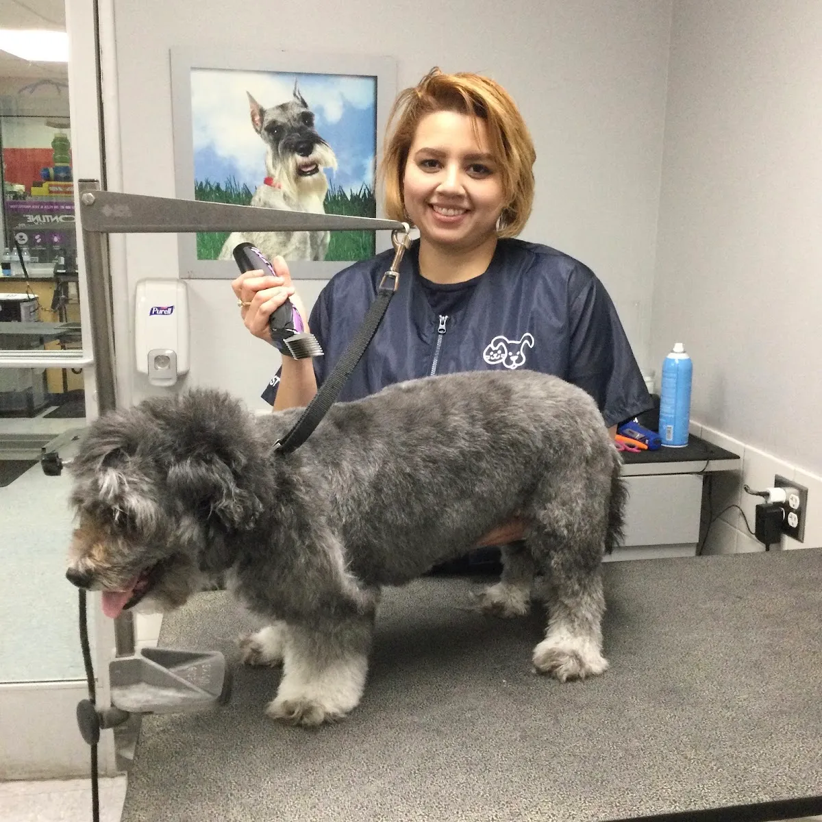 Petco Grooming