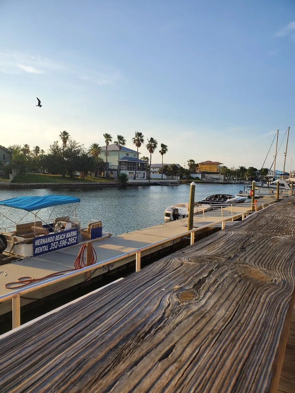 Hernando Beach Marina