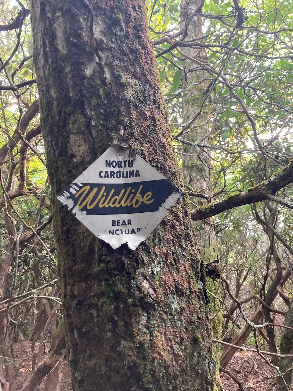 Pickens Nose Trailhead