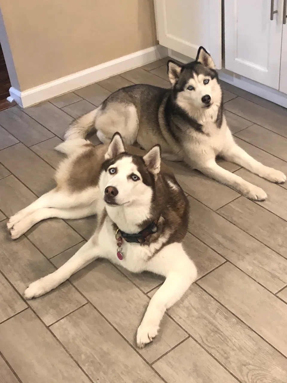Sophie's Circle, Inc.
