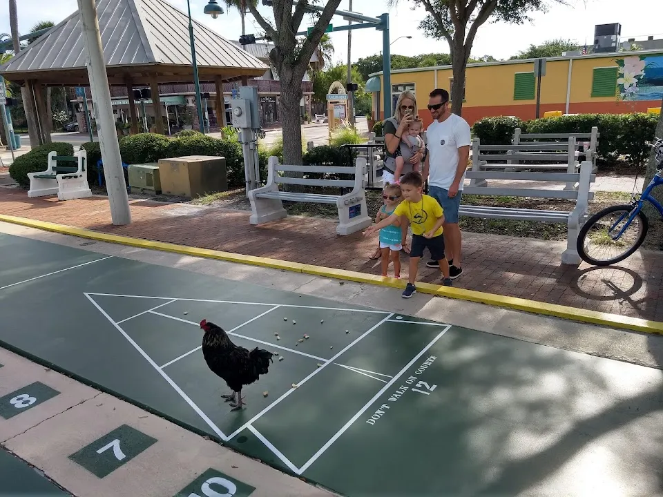 Coronado-Mainland Shuffleboard Club