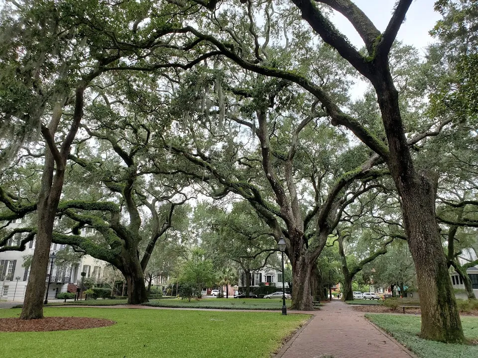 Pulaski Square