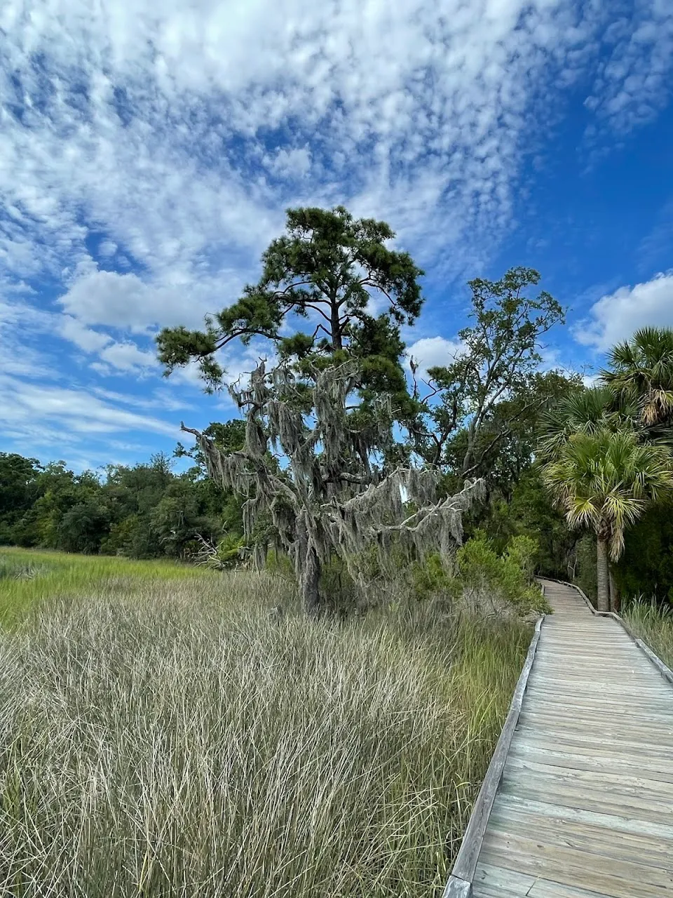 Oatland Island Wildlife Center