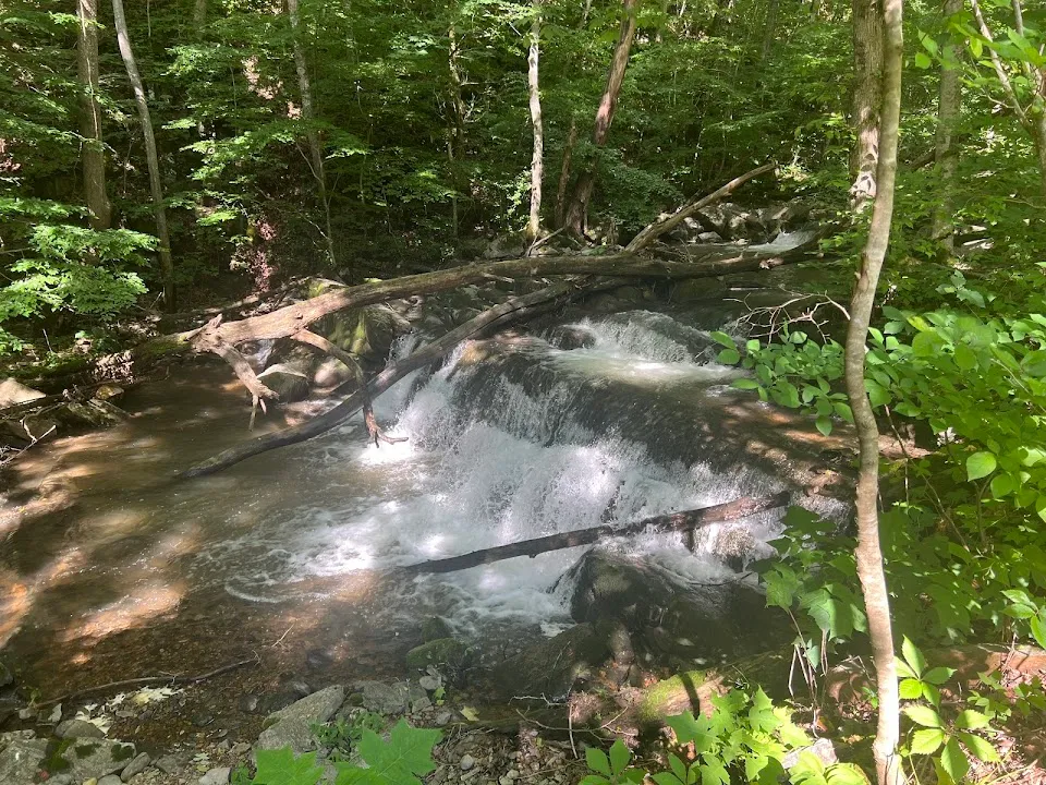 Falls Of Logan Creek