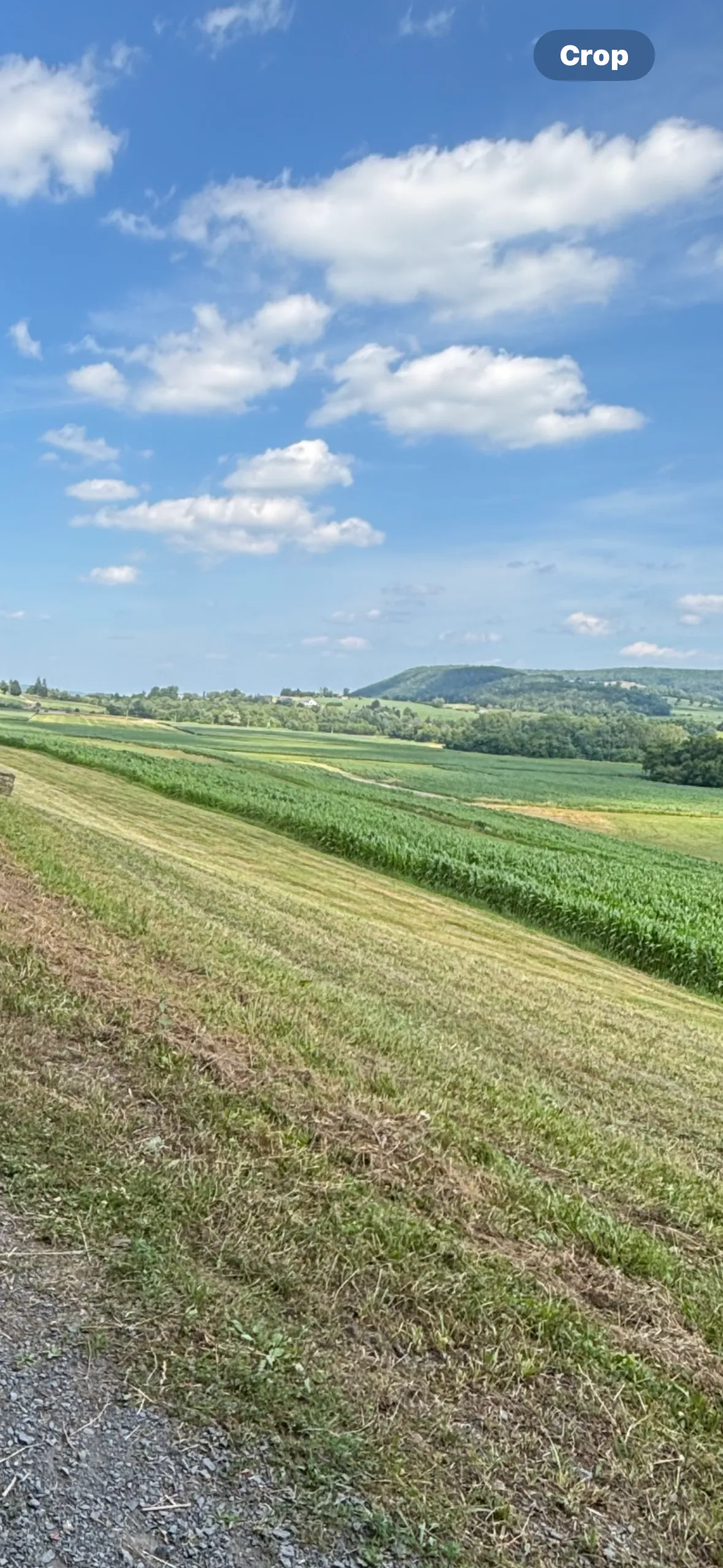 Cobleskill Creek Trail