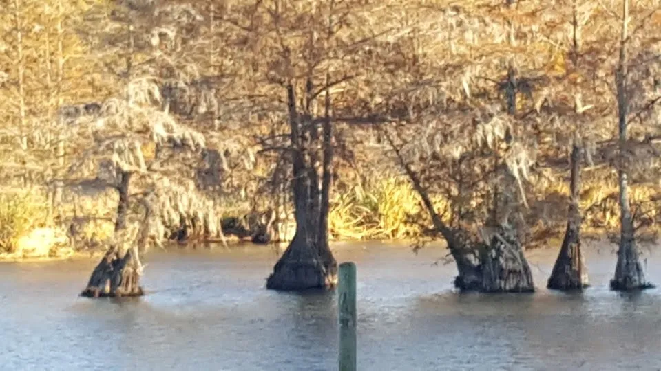 LOWFALLS LANDING BAITSHOP
