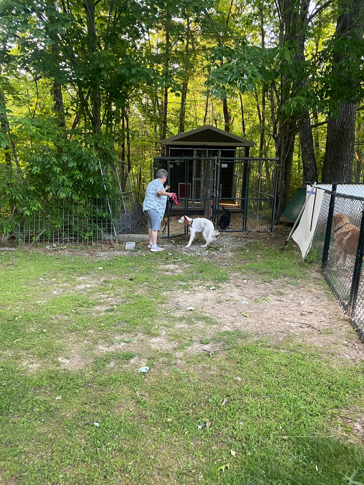 Another Chance Rescue, Rehab & Sanctuary