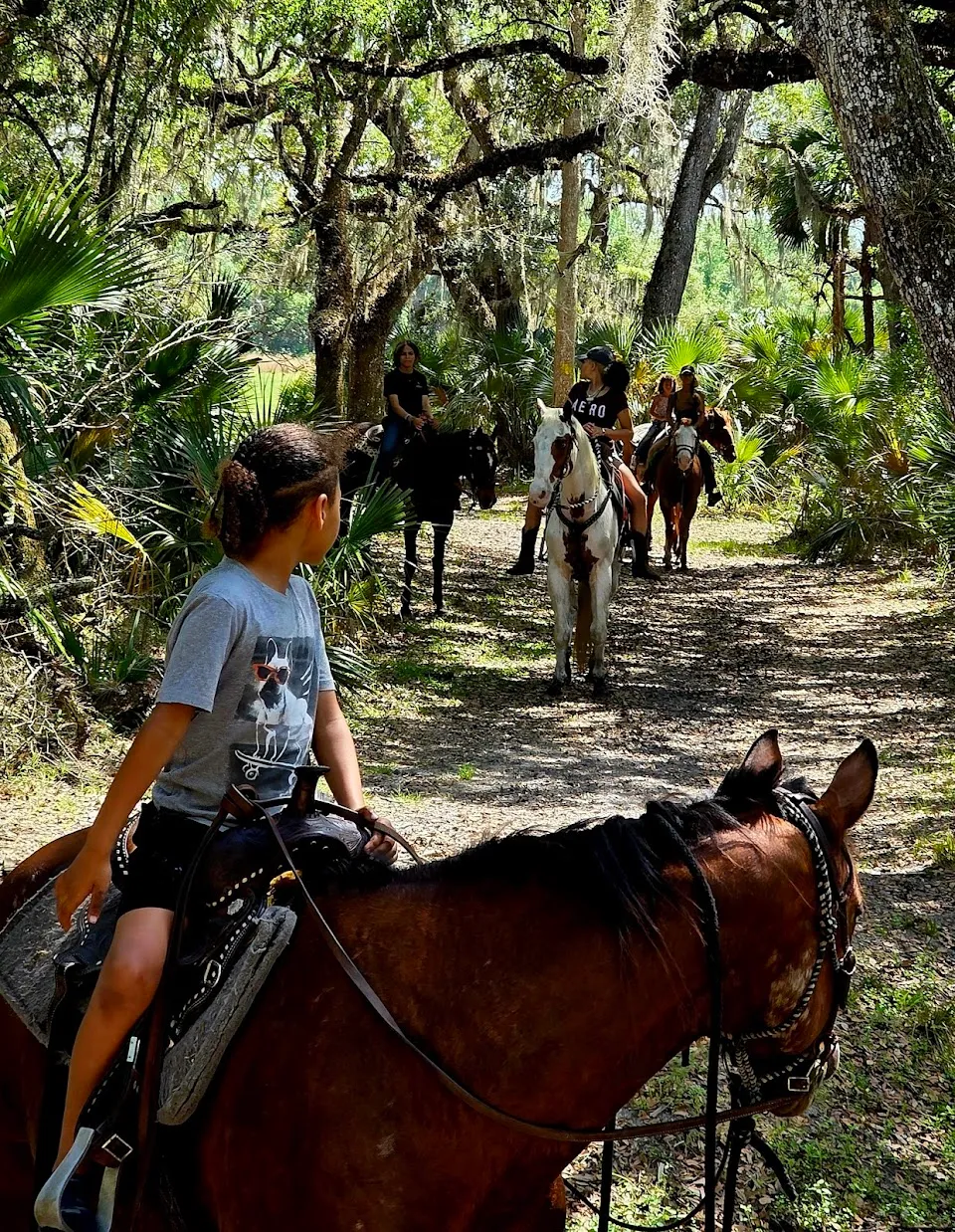 Reckless Ranch Horse Rides