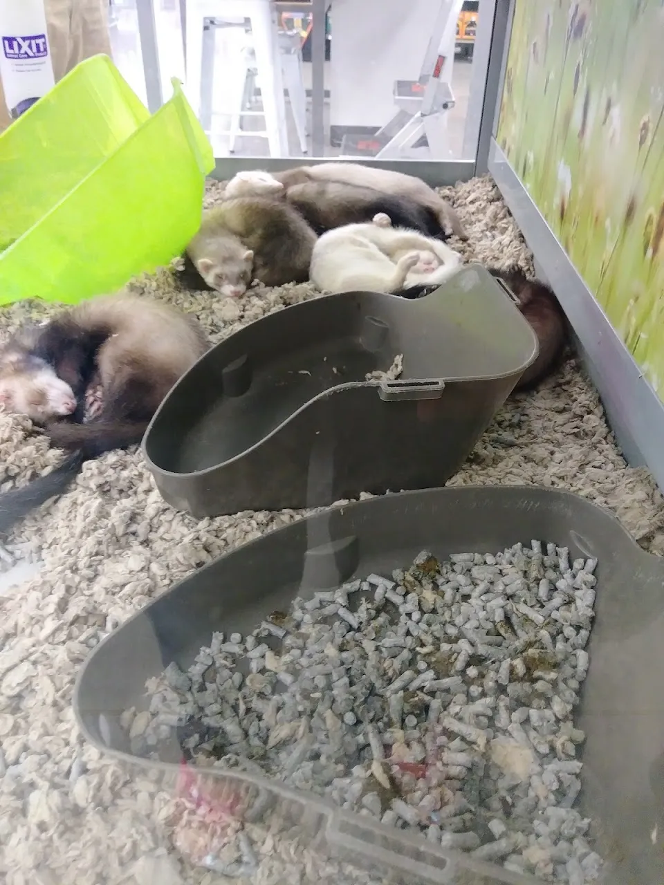 Petco
