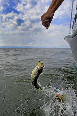 Class Act Charter Fishing