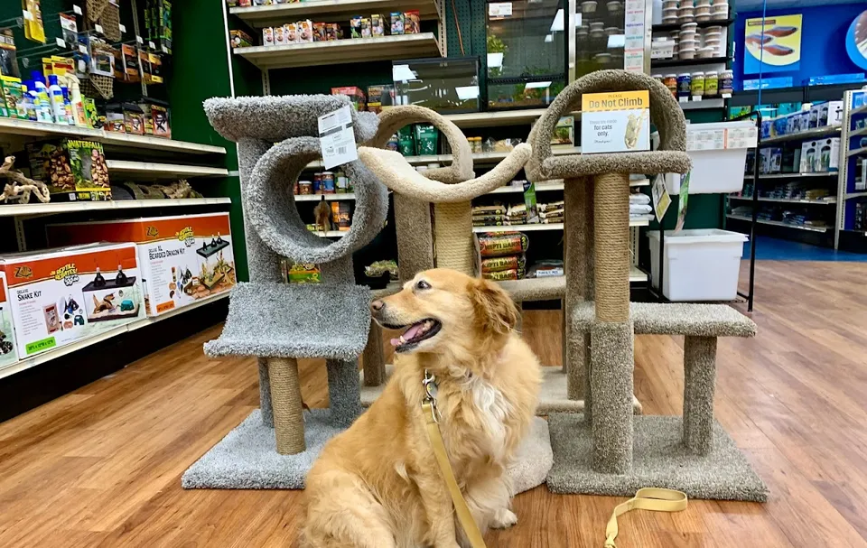 Pet Supermarket
