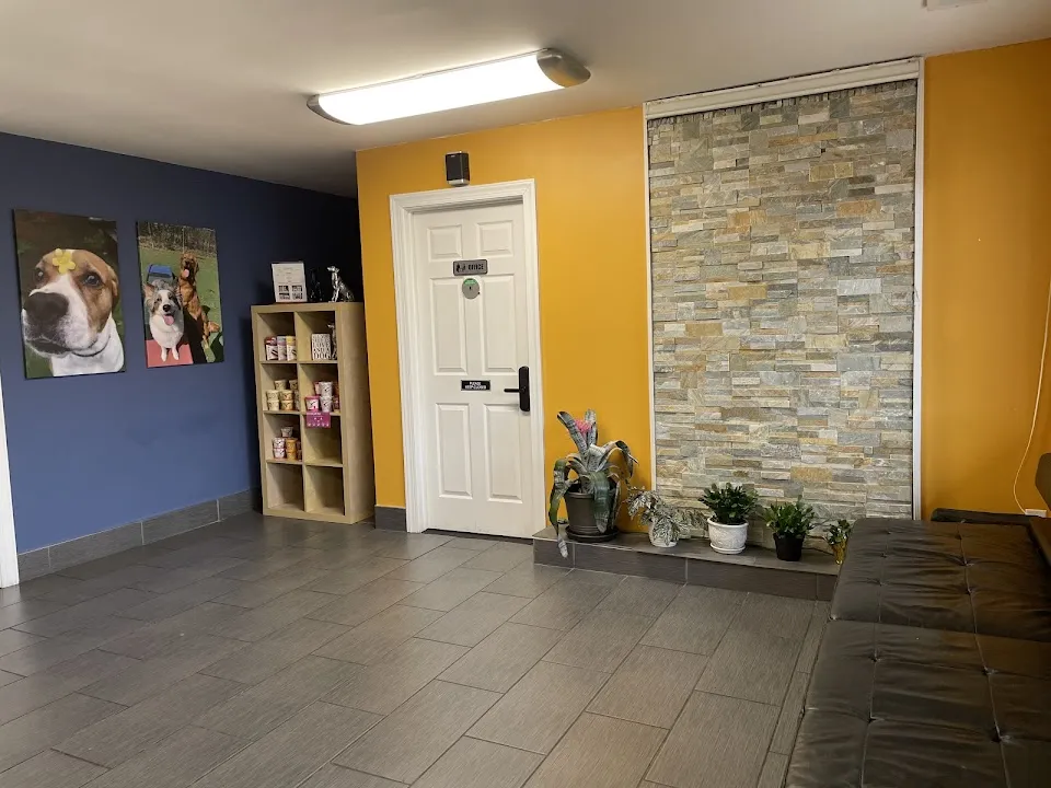 The Grooming Room Pet Resort