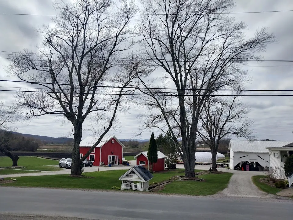 Scheuermann Farms & Greenhouses