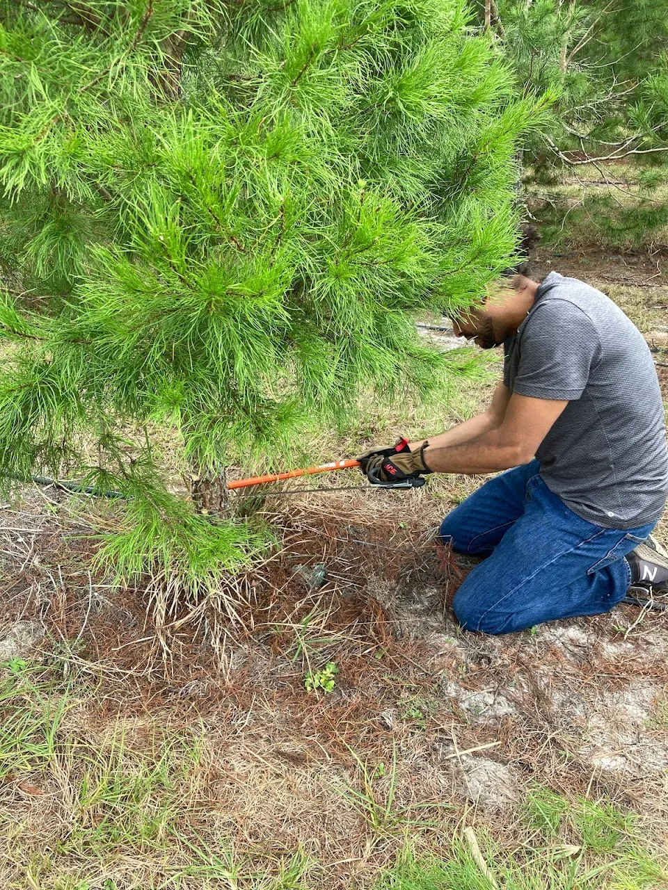 Ergle Christmas Tree Farm
