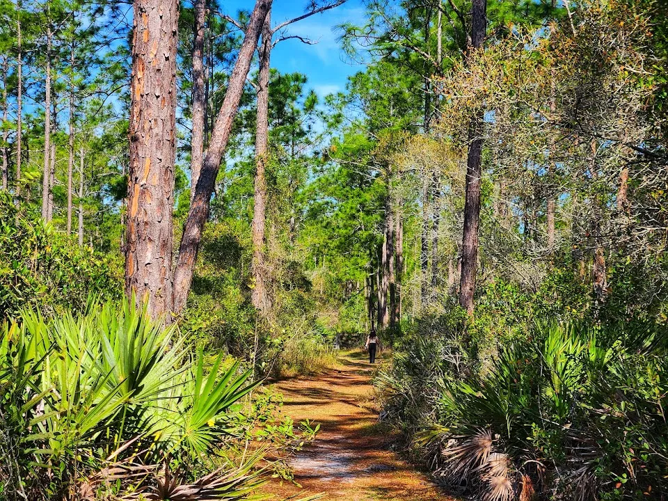 Palm Bluff Conservation Area