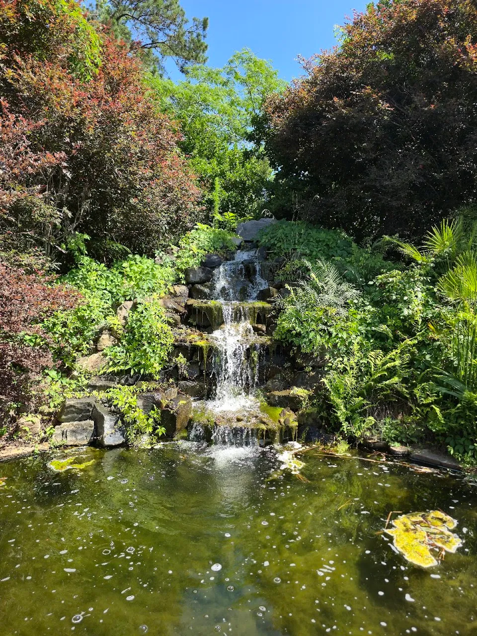 Coastal Georgia Botanical Gardens at the Historic Bamboo Farm