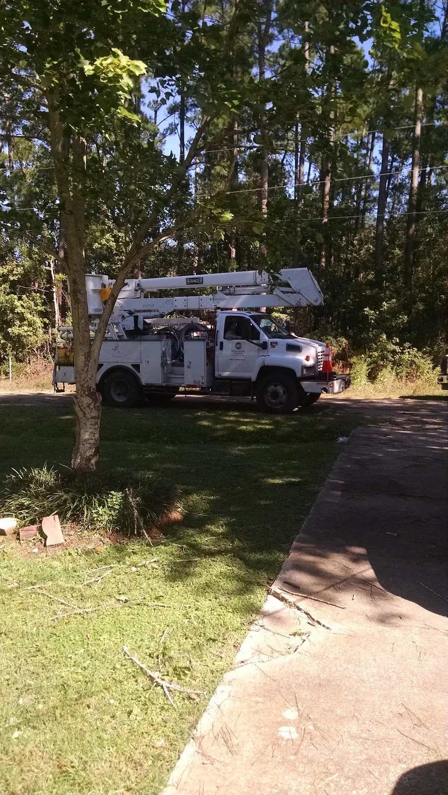 Global Energy Systems