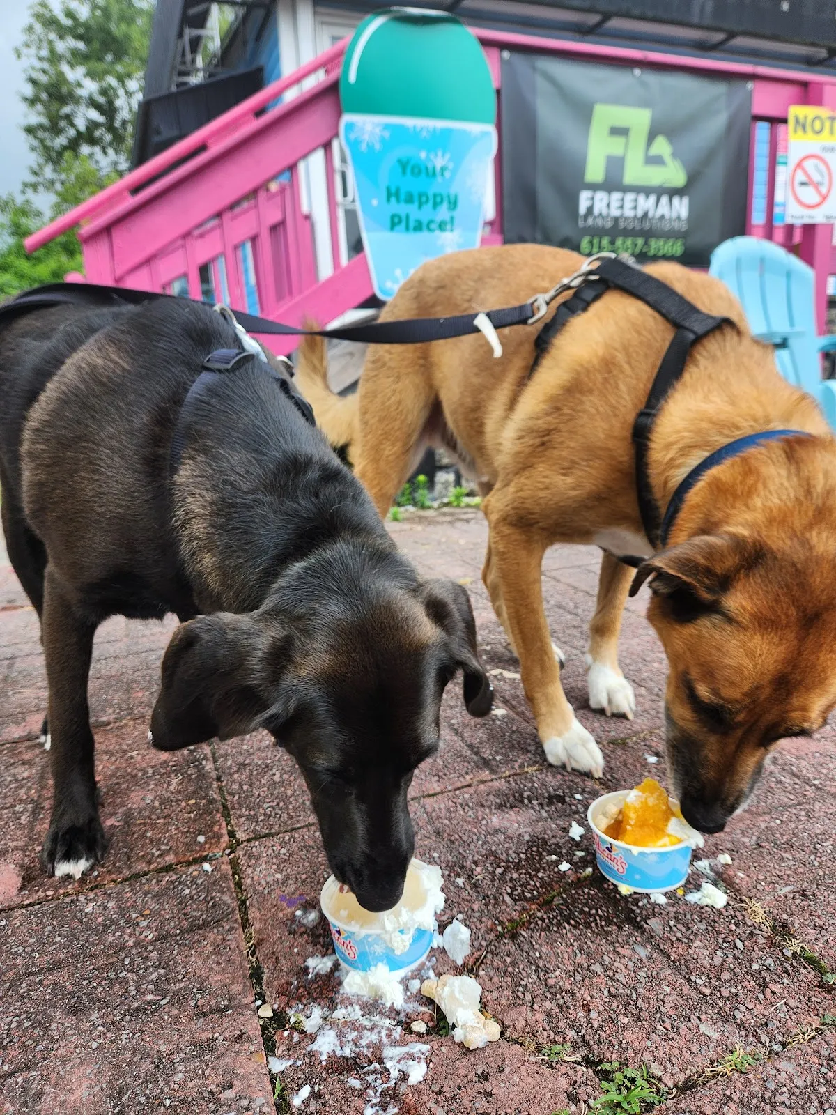 Pelican’s SnoBalls: Portland,TN