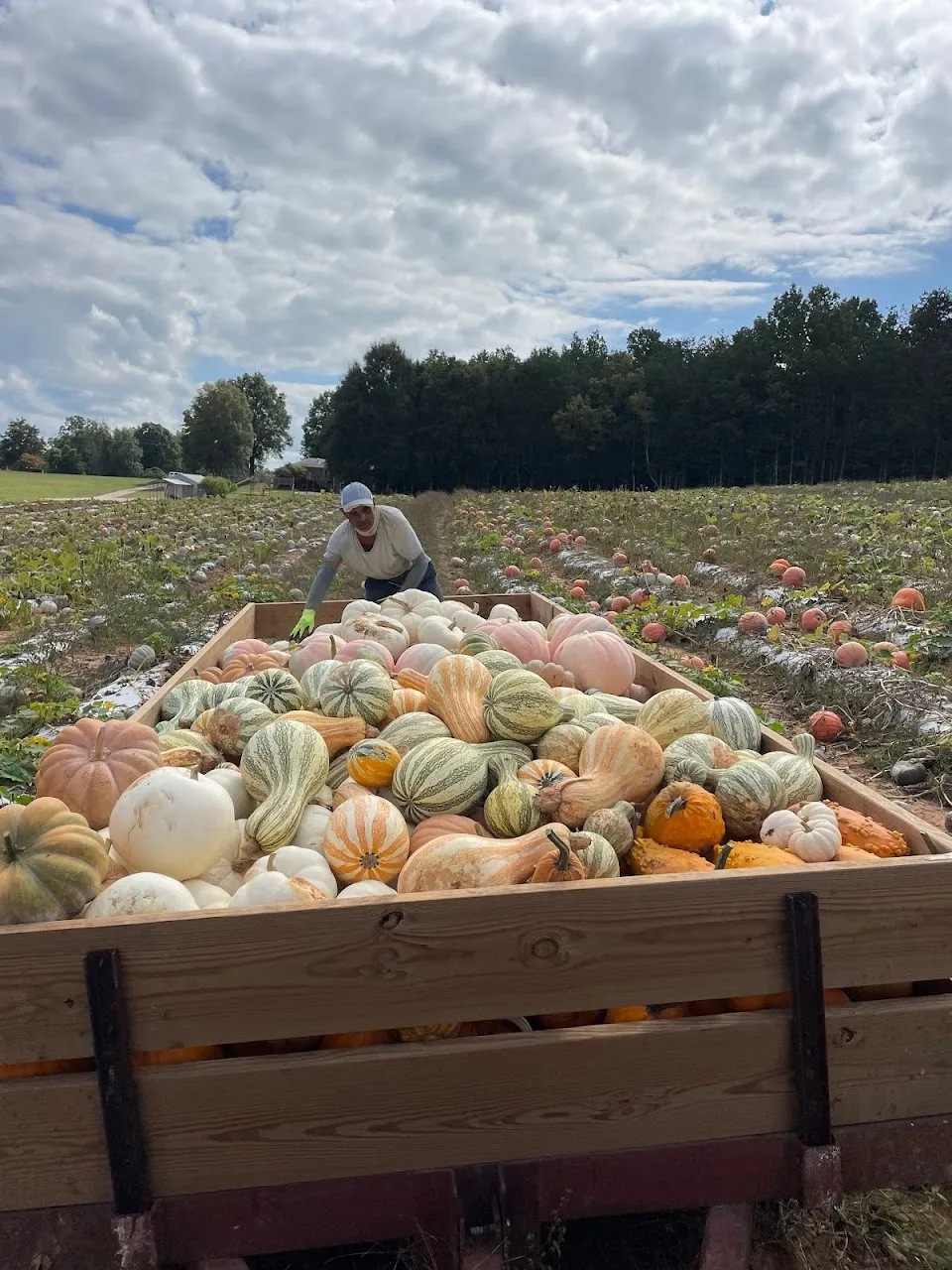 Robertson Family Farm