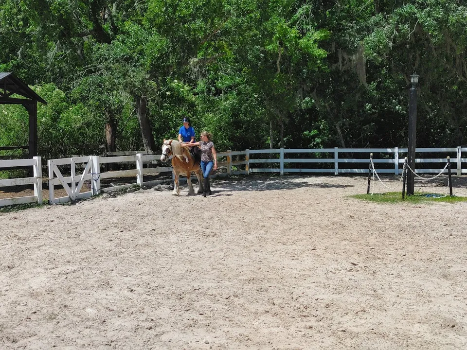 Flying Z Stables, Learn The Training Secrets of the Pros, Inc.