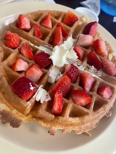C's Waffles NSB (SR 44)