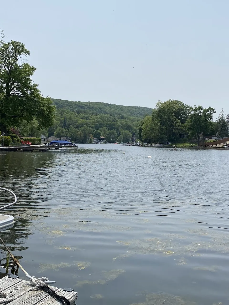 Murphy's Cove Marina