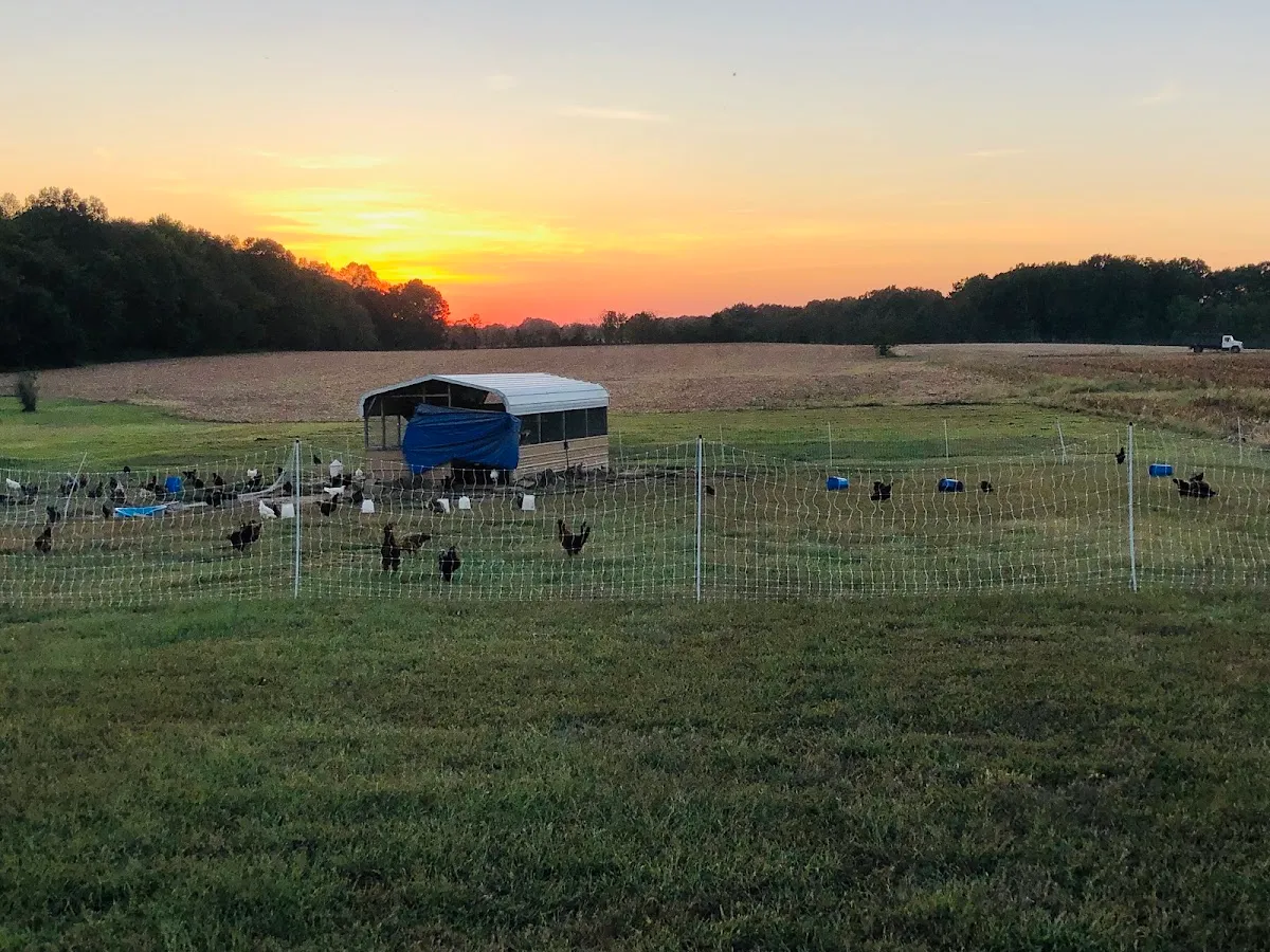 Jamieson Farm