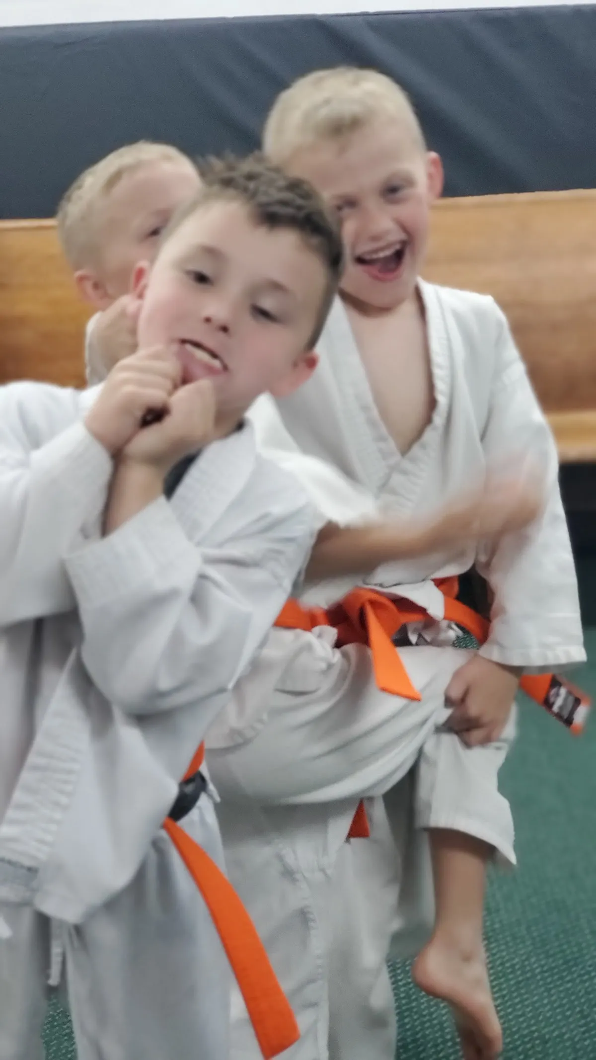Molière Kenpo Karate
