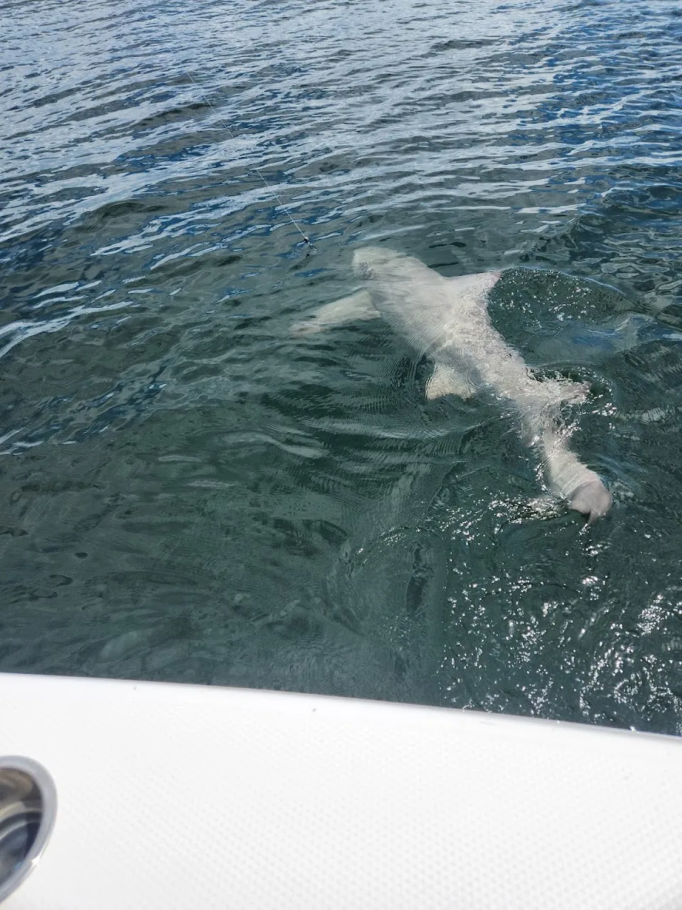 Poseidon Fishing Charters