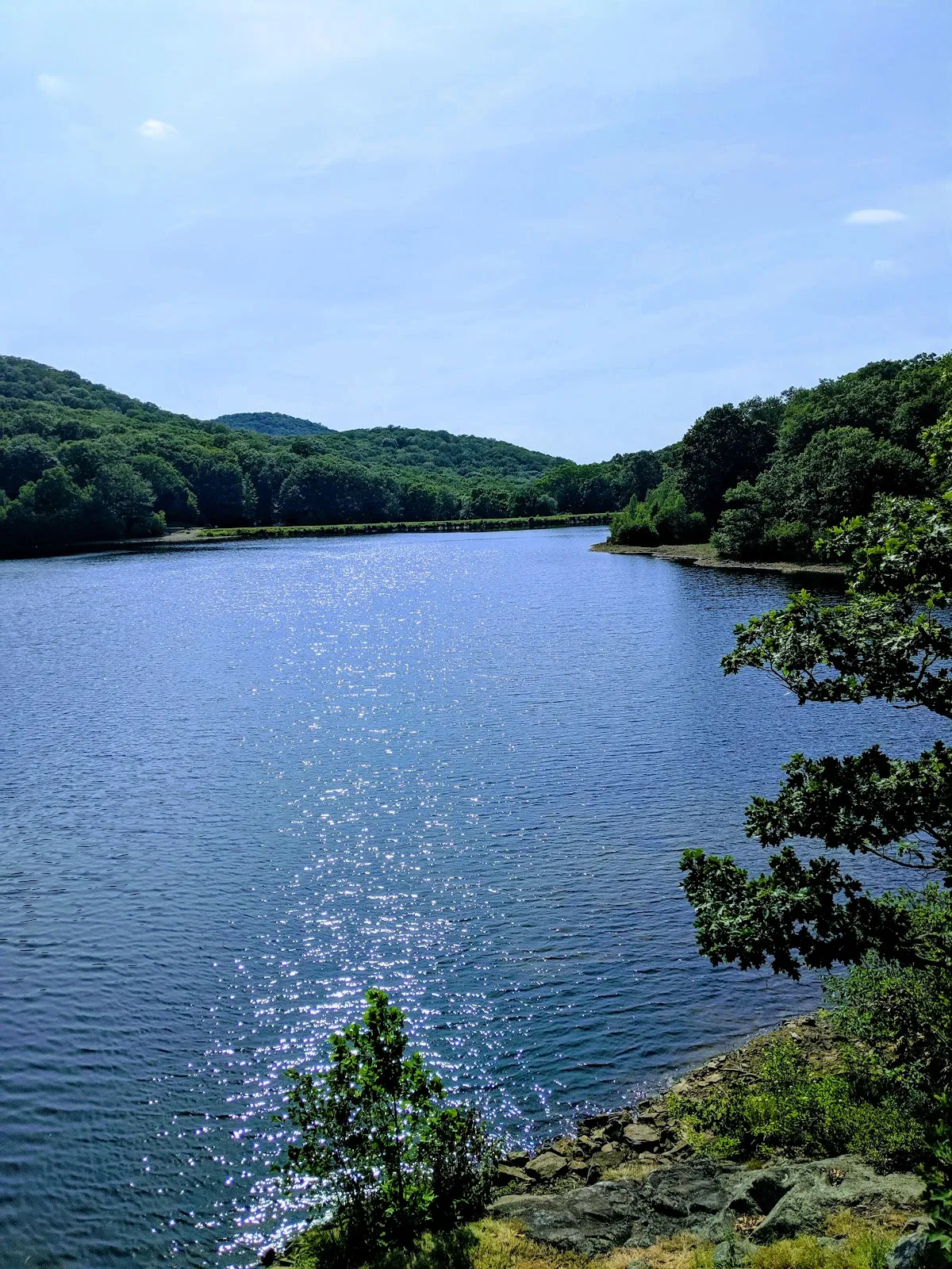 Black Rock Forest Consortium