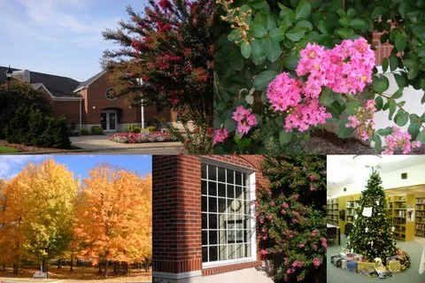 King Public Library