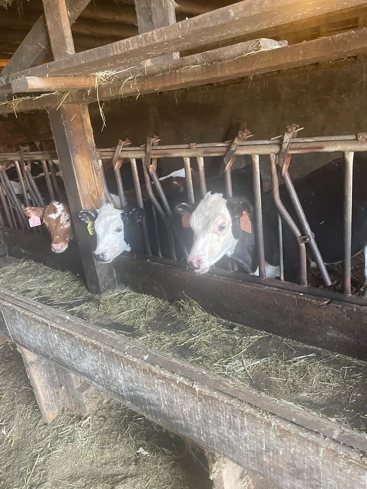 Eccardt Farm