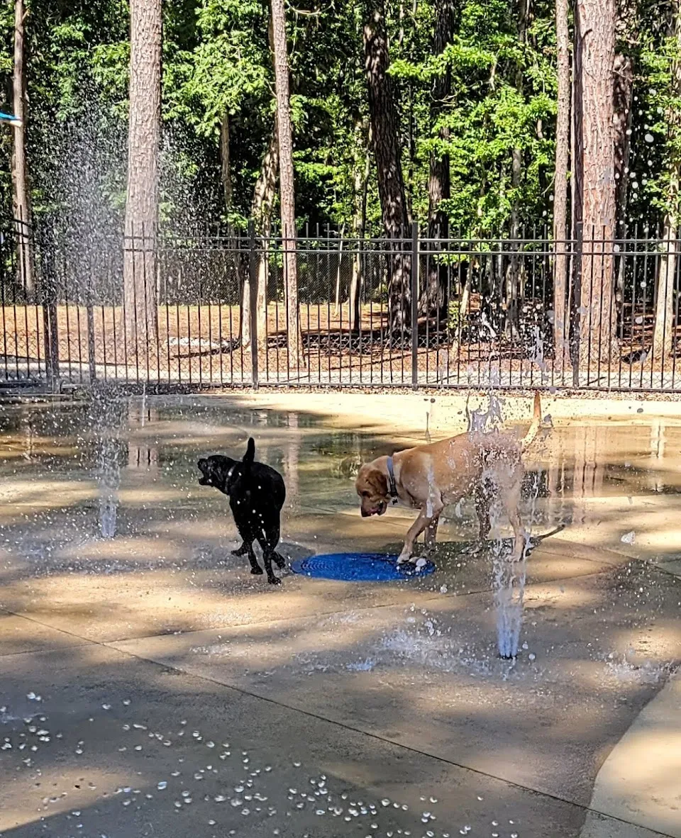 Wannamaker Dog Park