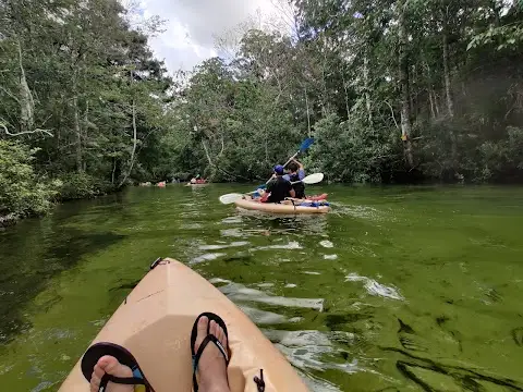 Weeki Wachee Kayak & Canoe