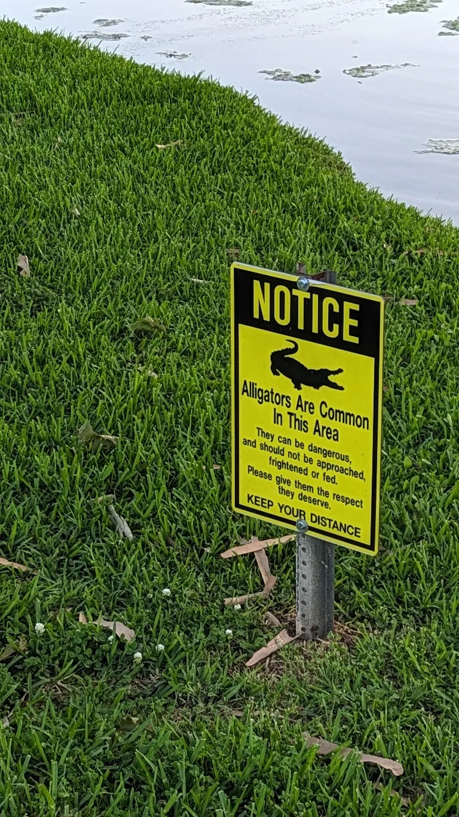 Virginia Tech Commuter Parking-Duck Pond Lot