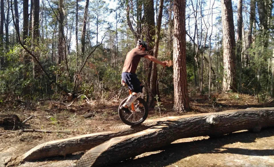 Whitemarsh Preserve