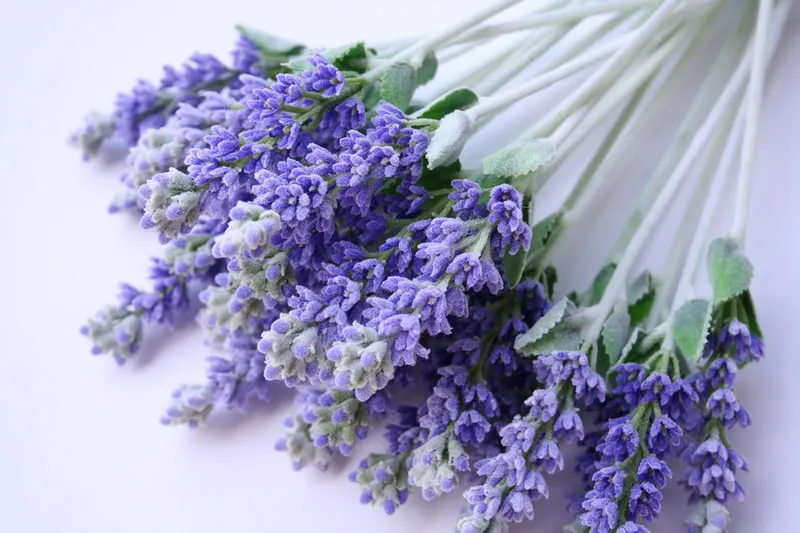Lavender Hair Salon & Shoppe